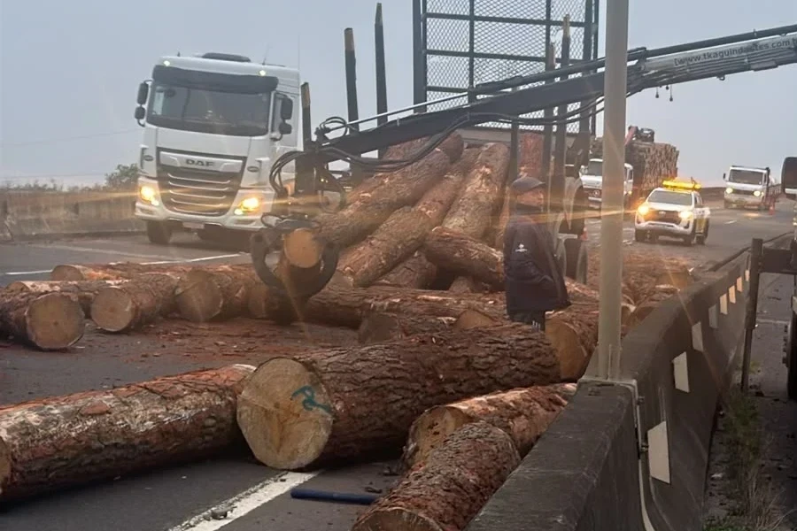 Carga de madeira cai de caminhão, provoca acidente e bloqueia a BR-101