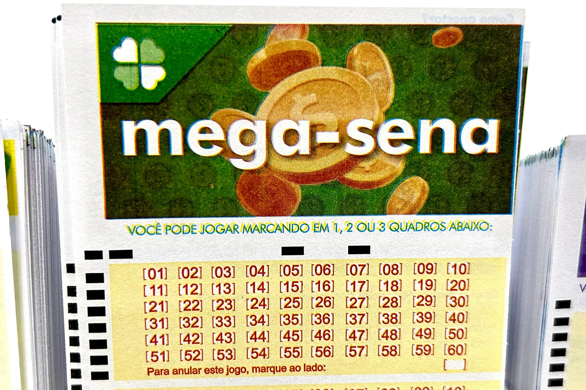 Aposta de Santa Catarina fatura mais de R$ 57 milhões na Mega-Sena