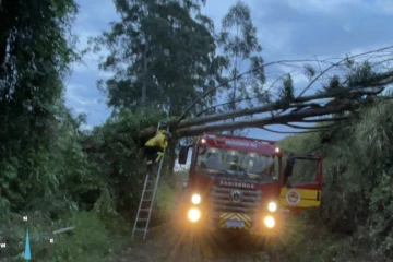 Após forte chuva, Defesa Civil atualiza balanço de danos dos municípios de Santa Catarina