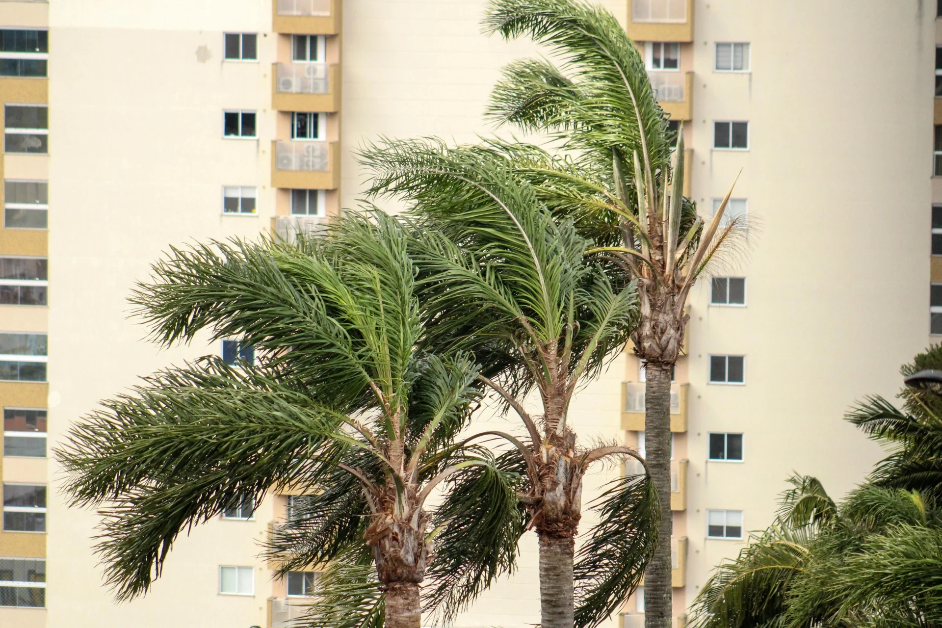 Semana começa com vento forte e frio e terá nova mudança no tempo a partir de sexta-feira