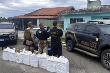 imagem do carrousel de noticias destaque