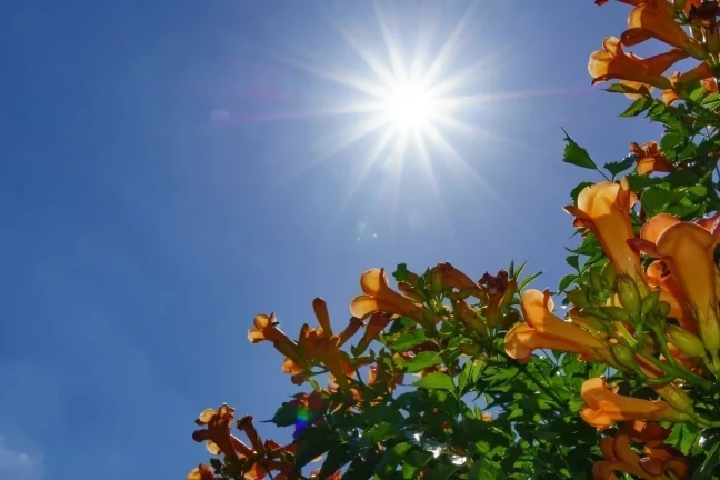 Frio marcará feriado nacional na região de Criciúma
