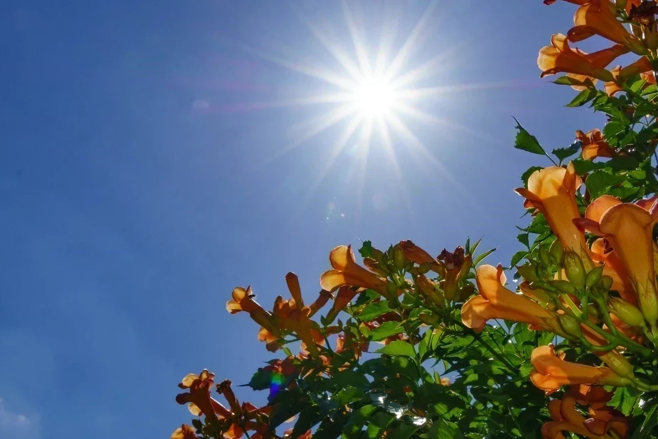 Frio marcará feriado nacional na região de Criciúma
