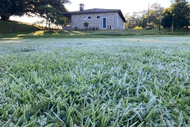 Onze municípios de Santa Catarina registram temperaturas negativas no feriado; confira a lista
