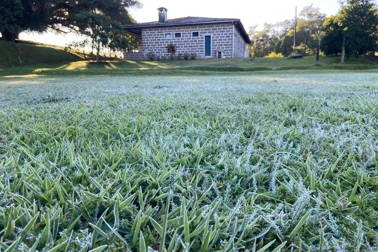 Onze municípios de Santa Catarina registram temperaturas negativas no feriado; confira a lista