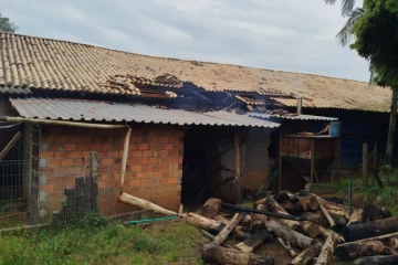 Granja de frango é atingida por incêndio na SC-285