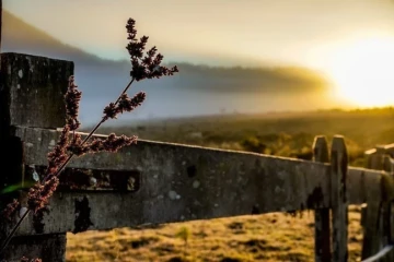 Frio intenso de -4,5°C marca o amanhecer de quarta-feira em Santa Catarina