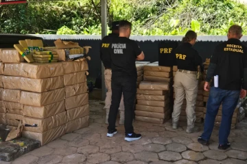 Vídeo e fotos: PRF apreende quase 2,5 toneladas de maconha escondidas em carga de repolho