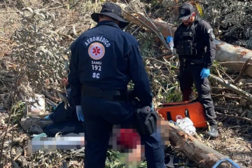 Homem é encaminhado ao hospital após ser atingido por árvore em São Martinho