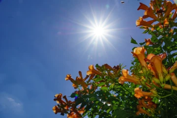 O calor vai durar? Saiba o que esperar do tempo nos próximos meses em Criciúma