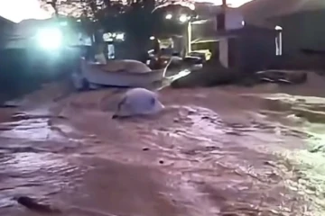 imagem do carrousel de noticias destaque