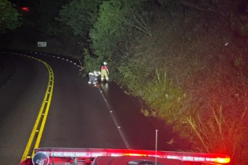 Fotos: fortes ventos e chuvas derrubam árvores na rodovia SC-446