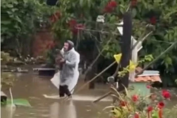 Vídeo: cachorro ilhado pelas chuvas é resgatado e devolvido à tutora em Criciúma