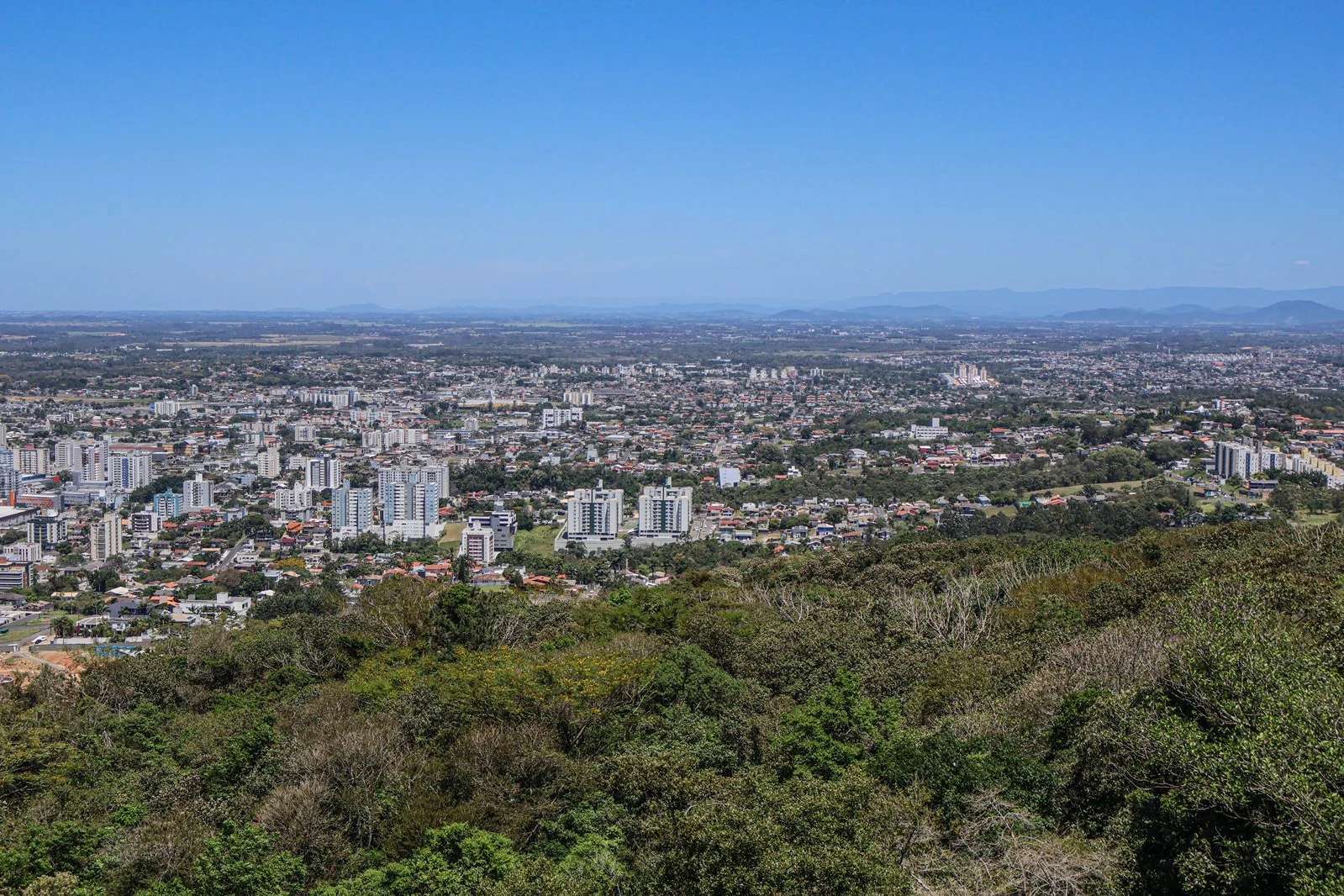 Sem previsão de chuva, quinta-feira será fria e ensolarada em Criciúma