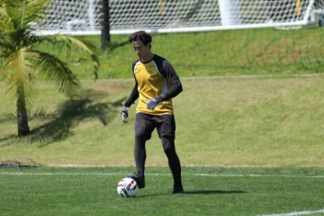 Buscando retornar ao G6, Tigre recebe o Avaí no Majestoso