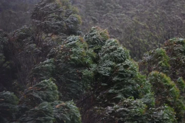 Temporais com chuva intensa, vendavais e granizo podem marcar o início de semana em SC