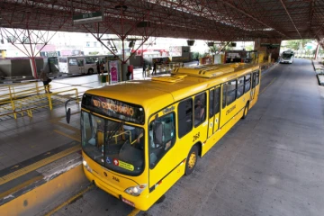Ônibus circulam sem cobrança de tarifa em Criciúma neste domingo de eleição