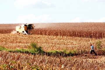 Pelo Estado 02/10: Carga tributária é o principal obstáculo para economia catarinense