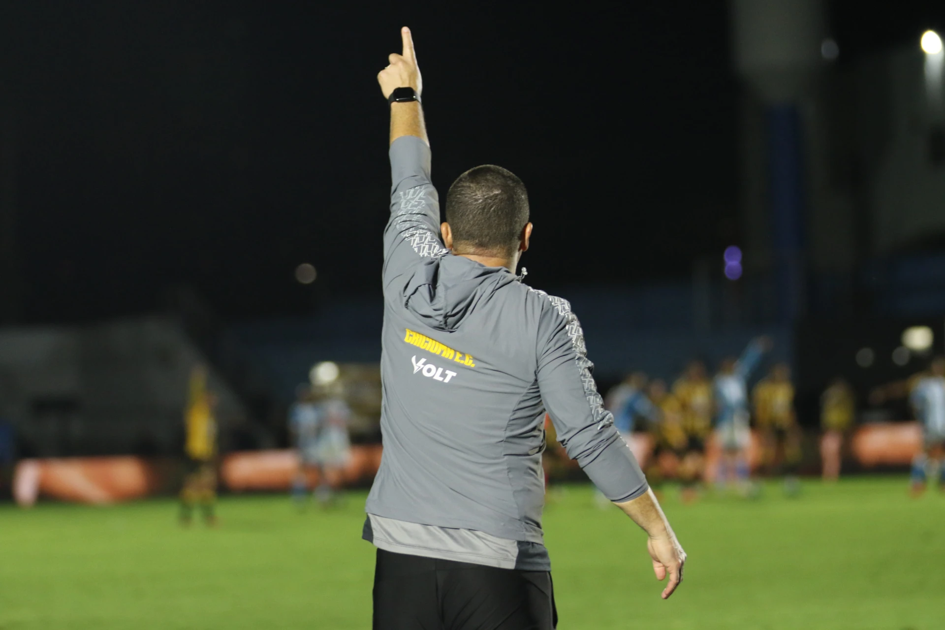 Louzer almeja evolução do Tigre na reta final da Série B