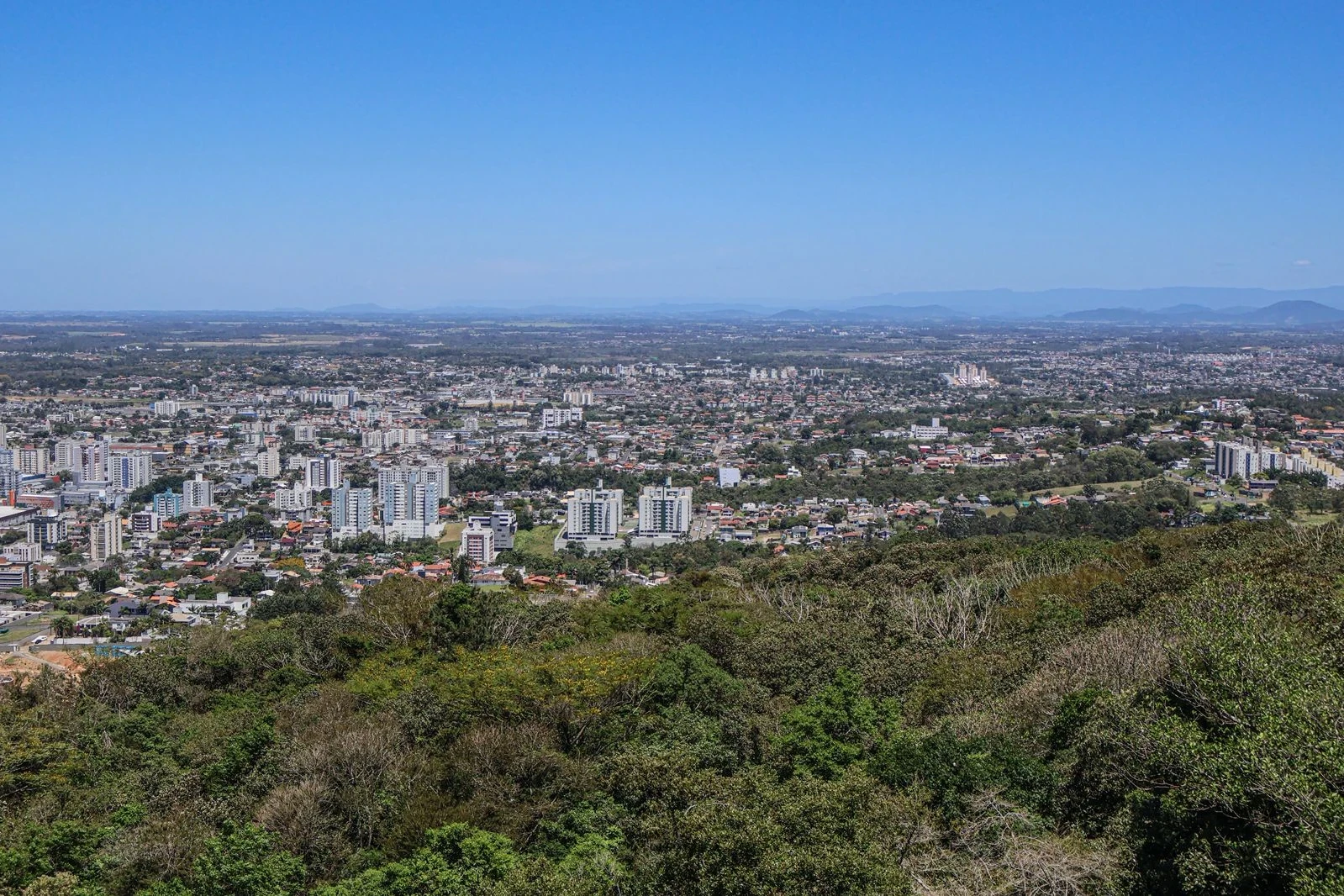 Sábado será de sol e temperaturas de até 26°C em Criciúma
