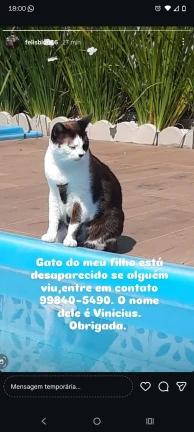imagem das campanhas engeplus