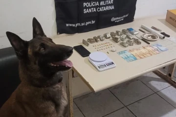 Com ajuda de cão farejador, PM apreende maconha e ecstasy durante patrulhamento