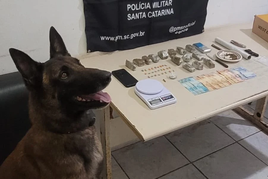 Com ajuda de cão farejador, PM apreende maconha e ecstasy durante patrulhamento