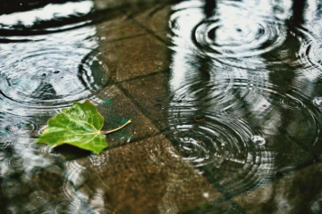 Criciúma terá terça-feira nublada e com pancadas de chuva