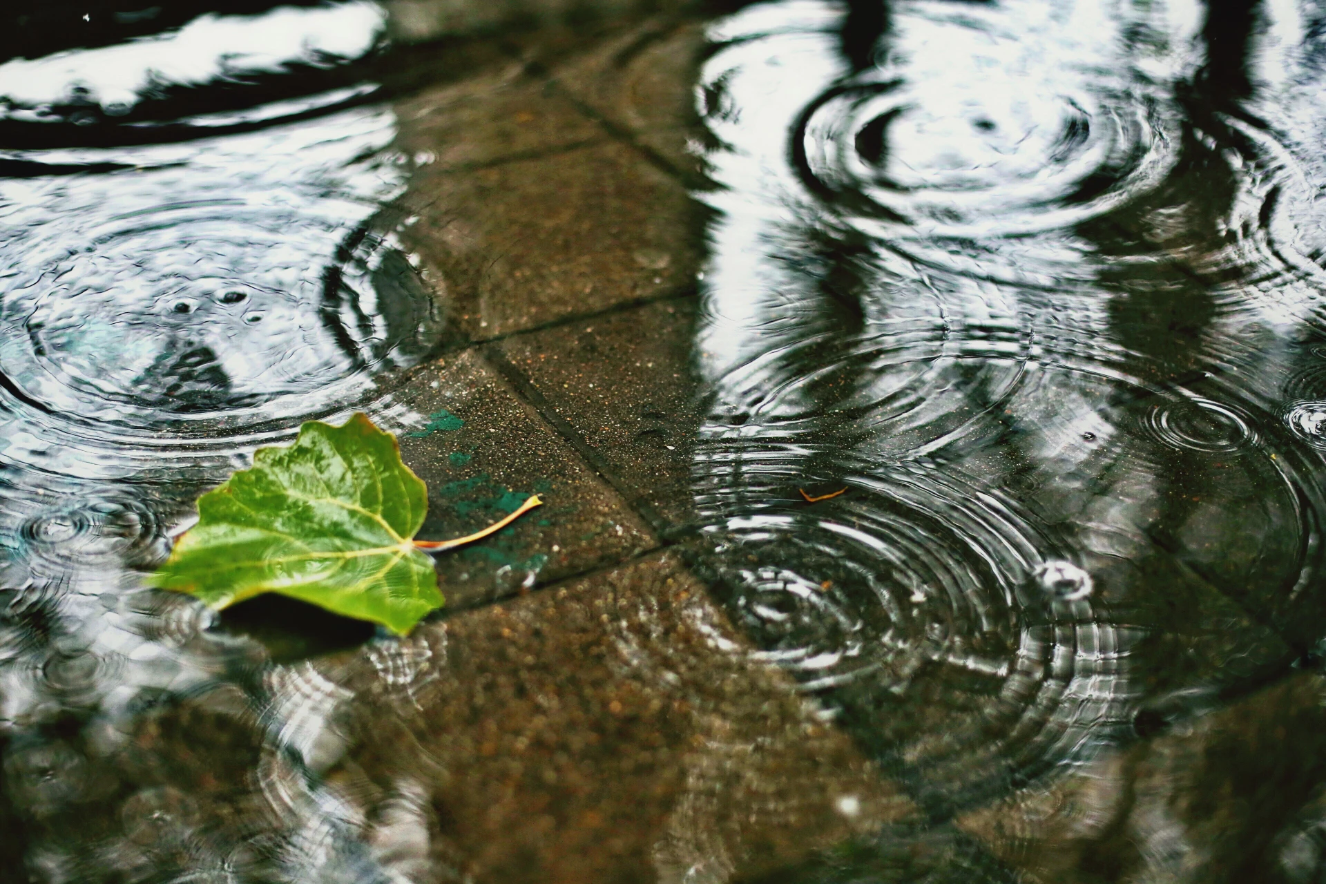 Criciúma terá terça-feira nublada e com pancadas de chuva