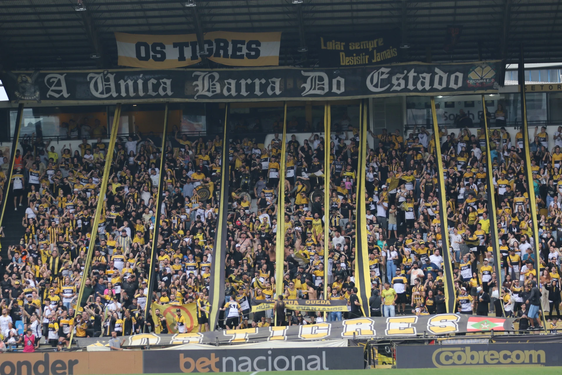 Barra Os Tigres marcará presença em duelo contra o São Bernardo