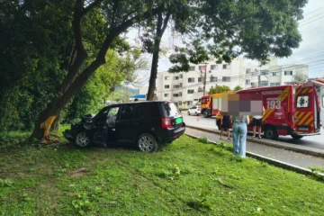 Motorista fica ferido após carro sair da pista e colidir em árvore