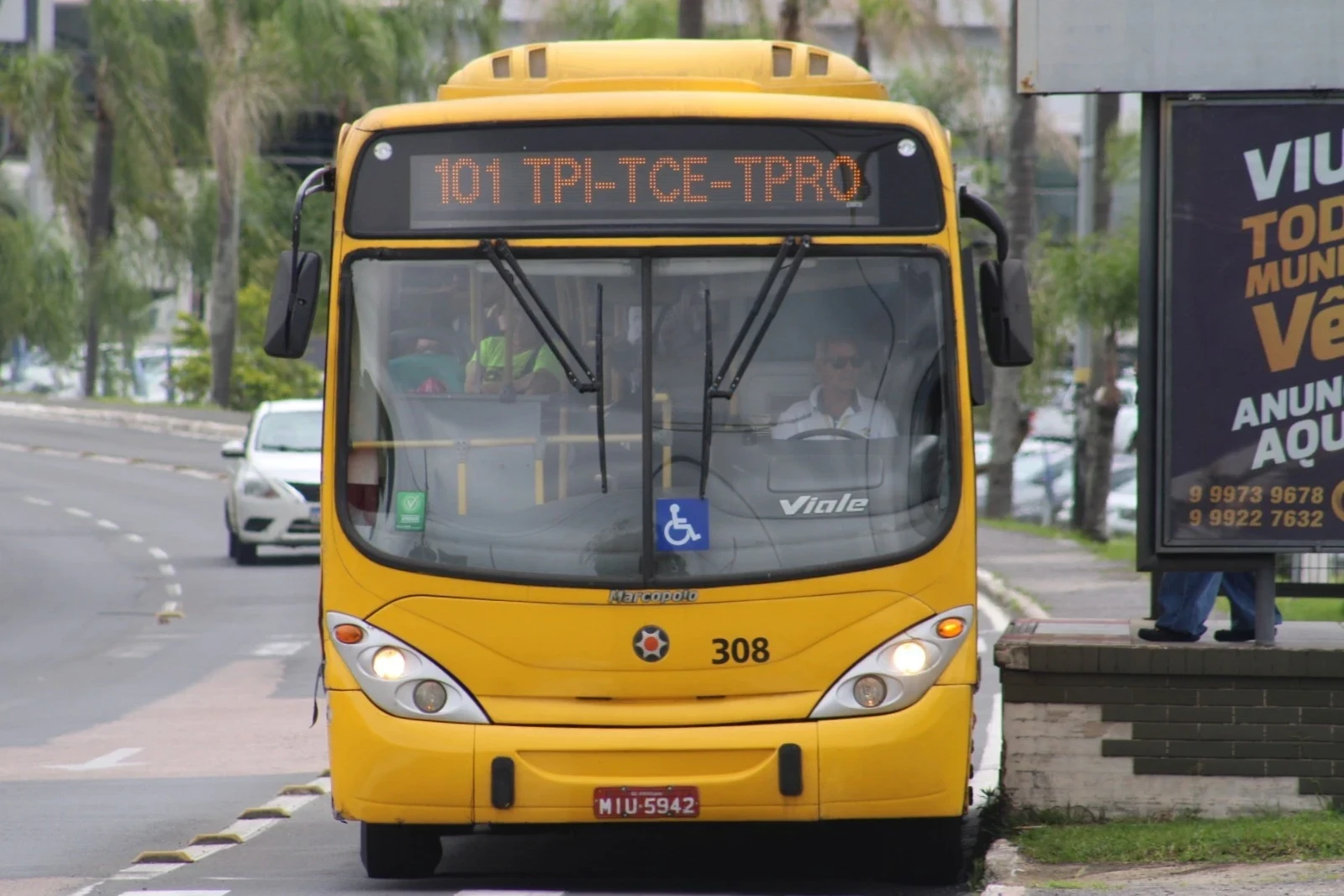 Criciúma prevê comprar 25 ônibus elétricos para o transporte coletivo