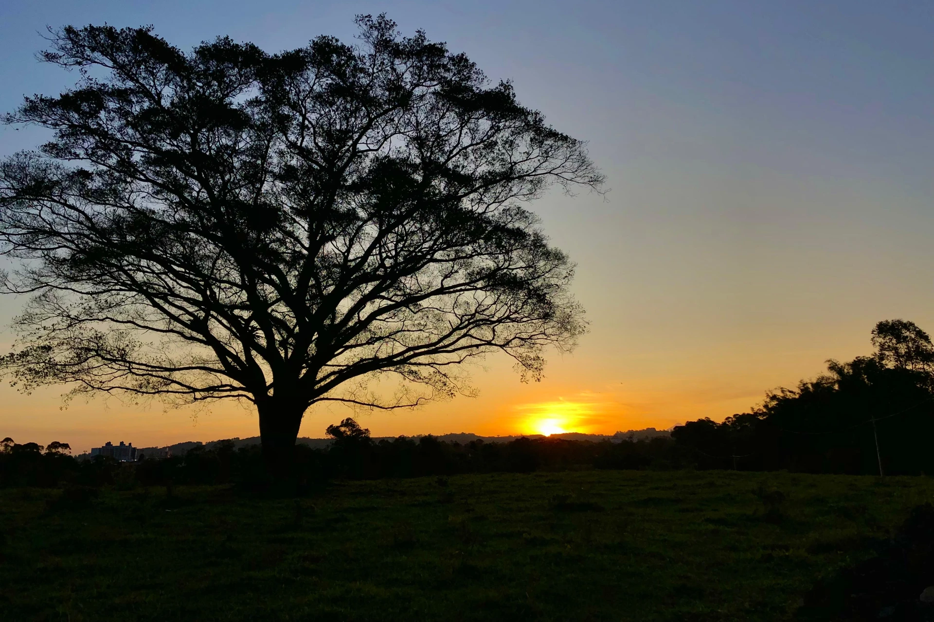 Fim de semana terá sol e frio nas manhãs em Criciúma