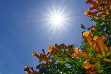 Sol de volta: chuva dá trégua e sábado será marcado por tempo firme em Criciúma