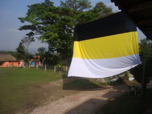 Vamos vamos Tigreeee