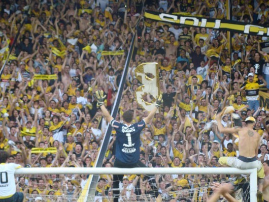 Há um ano, festa do Tigre