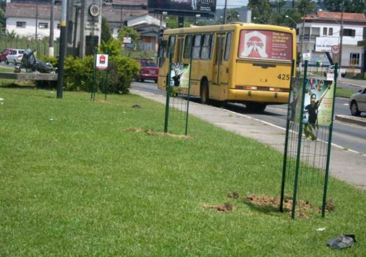 Publicidade ganha espaço em torno de plantas